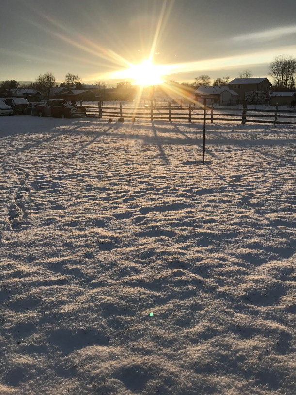 EE5960F7-4856-4983-ABED-EBD4B5B9F61A