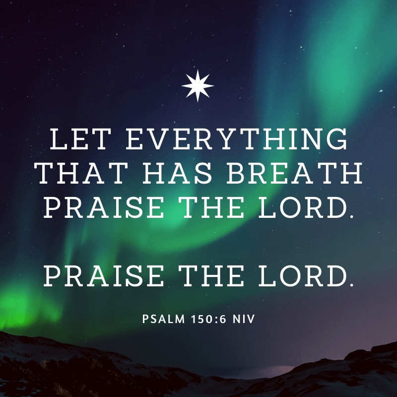 Let everything that has breath praise the Lord. Praise the Lord.