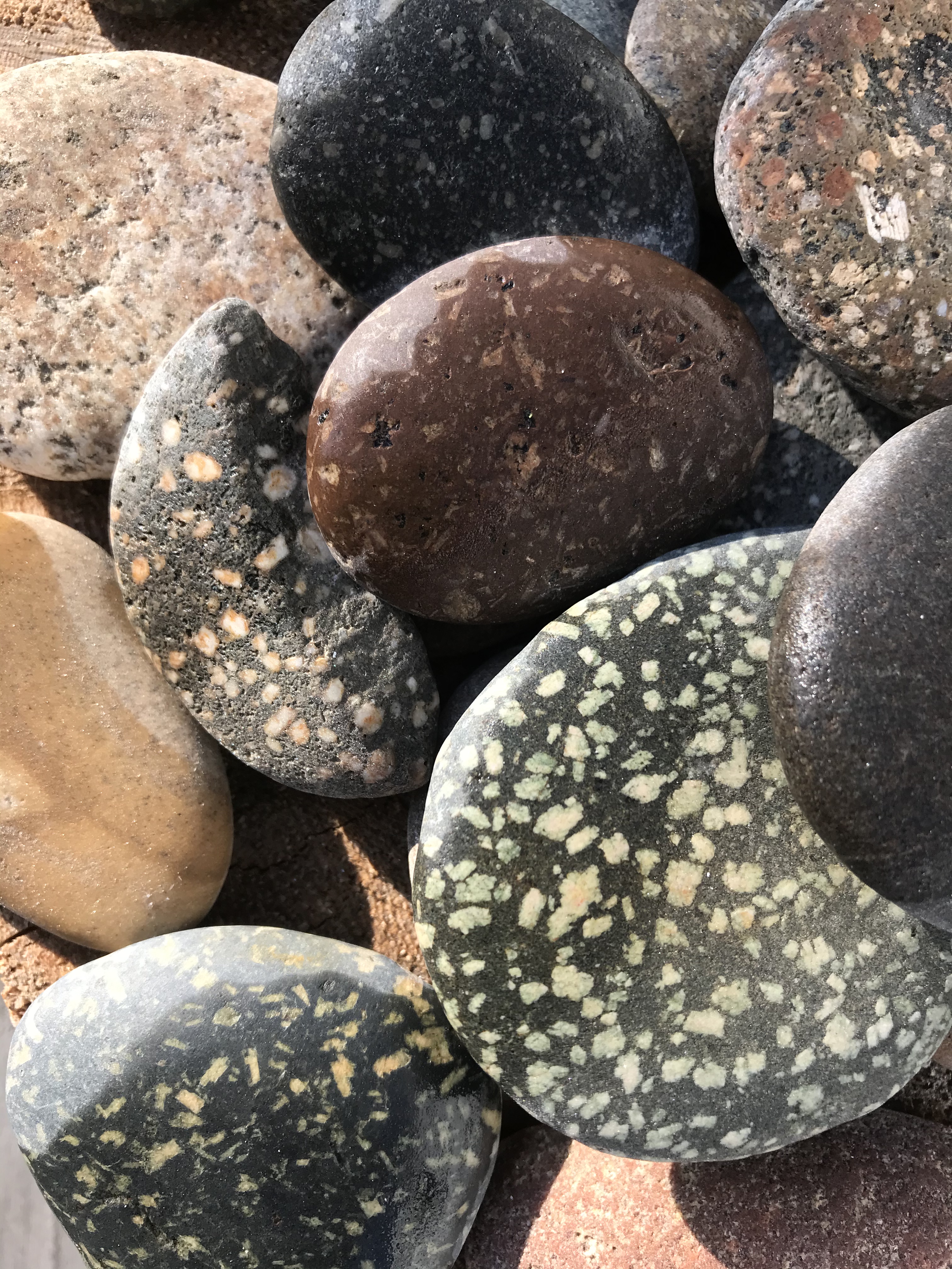 14ECDAB4-5A01-4668-A0FA-D3140FEB03E3