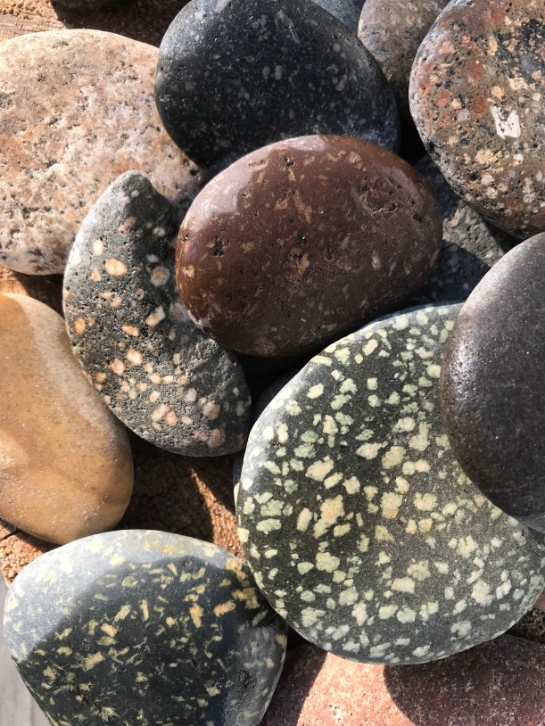 14ECDAB4-5A01-4668-A0FA-D3140FEB03E3