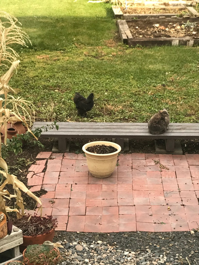 2C7E1CA0-82AB-489D-8093-A6C9FC17BE81