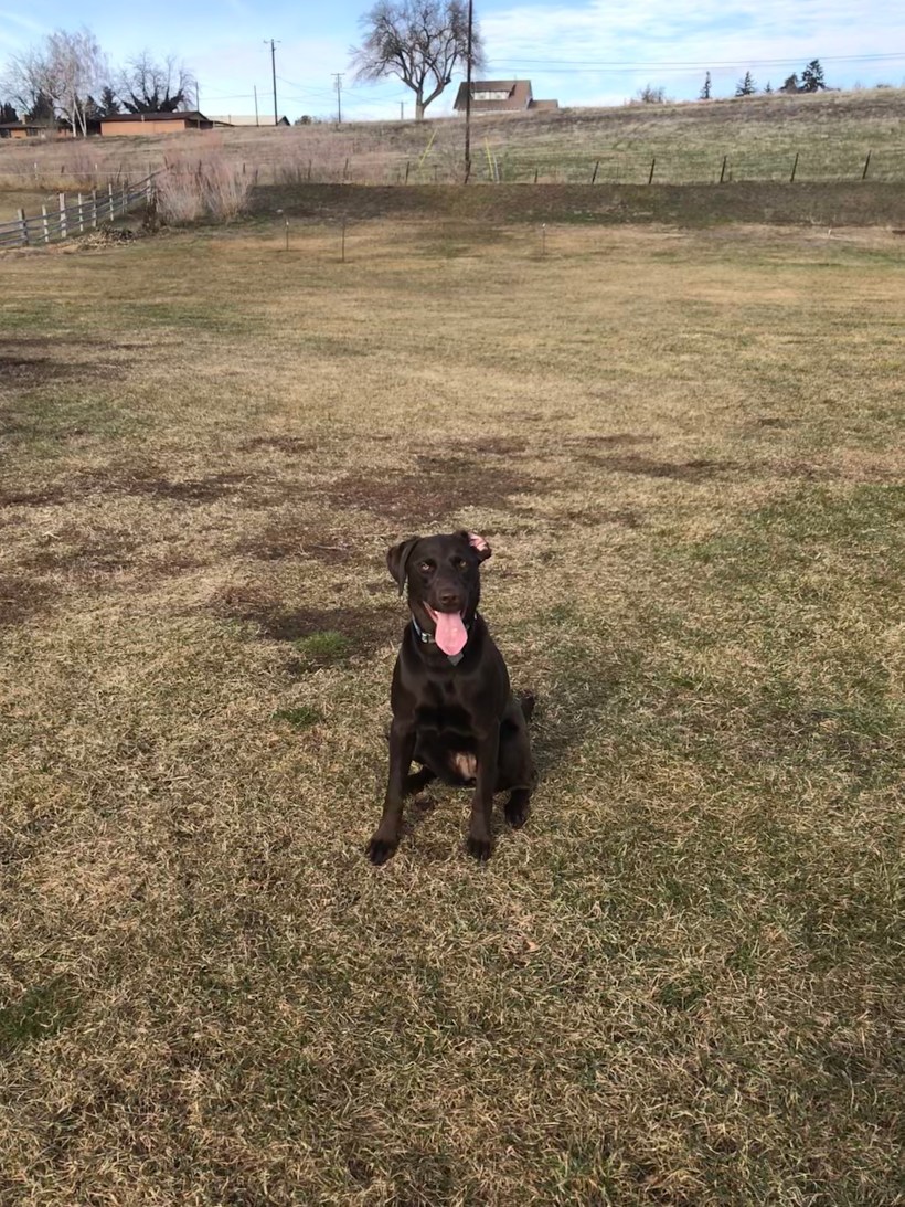 6E874901-C96B-455B-B028-4E14BDEED6E7