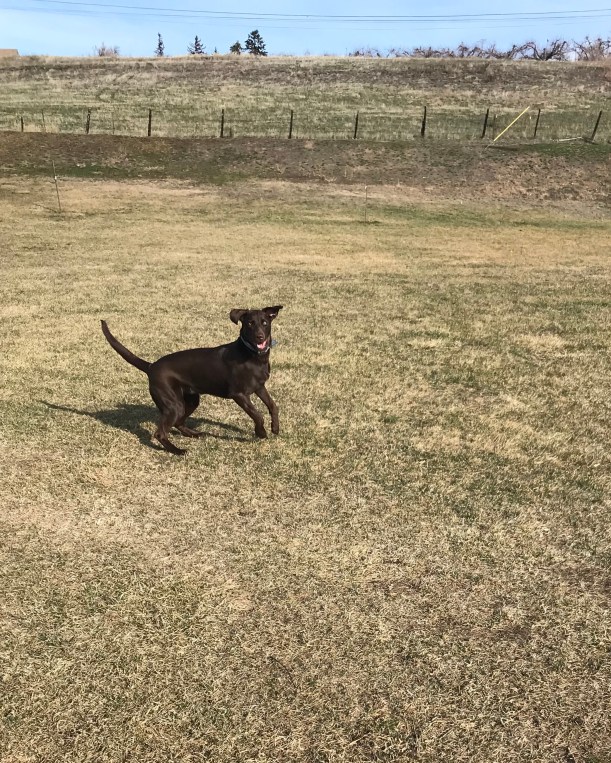 79F860F8-BE2B-49E7-9779-9035F4A94761