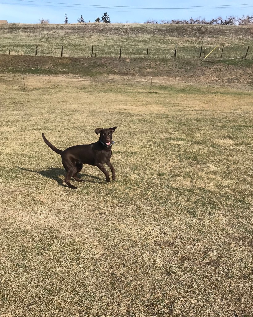 79F860F8-BE2B-49E7-9779-9035F4A94761