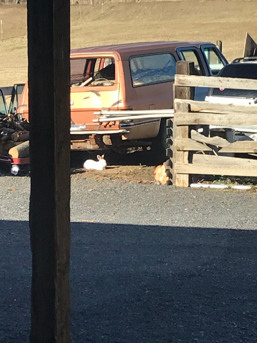 7CF53DEB-9FB2-4167-A0AE-A66EB9BBC25B