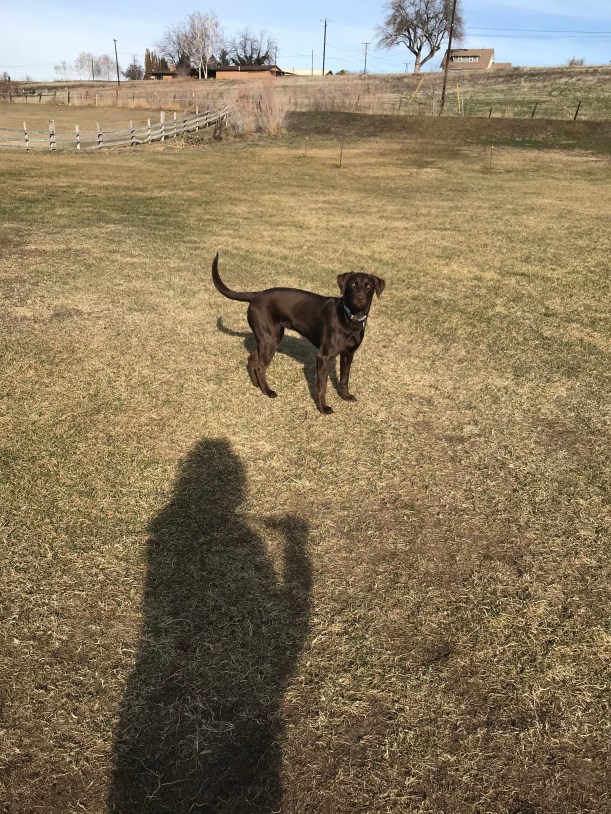 EE07704B-5853-4337-9488-9B707B12B176