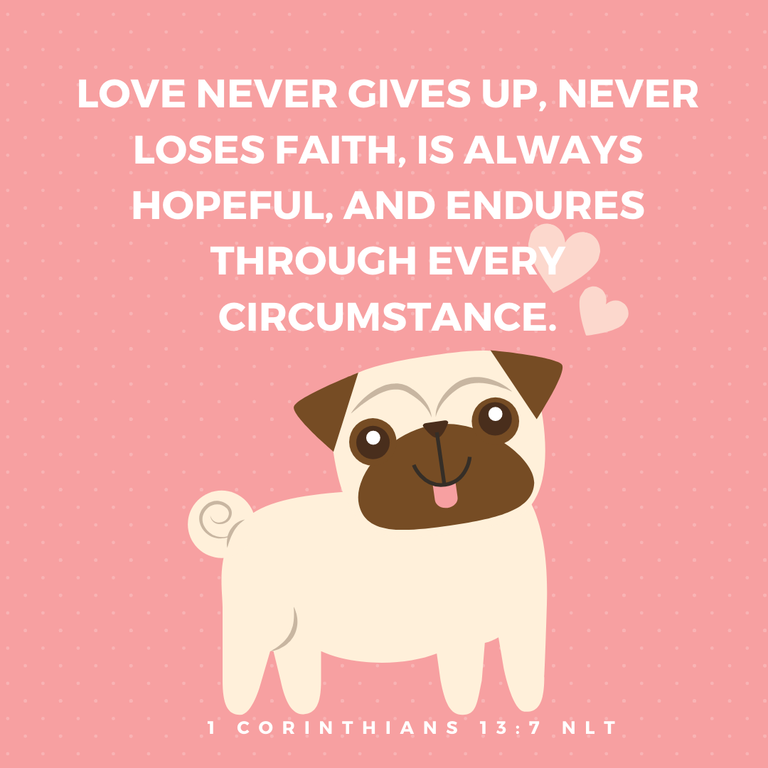 Love never gives up, never loses faith, is always hopeful, and endures through every circumstance.