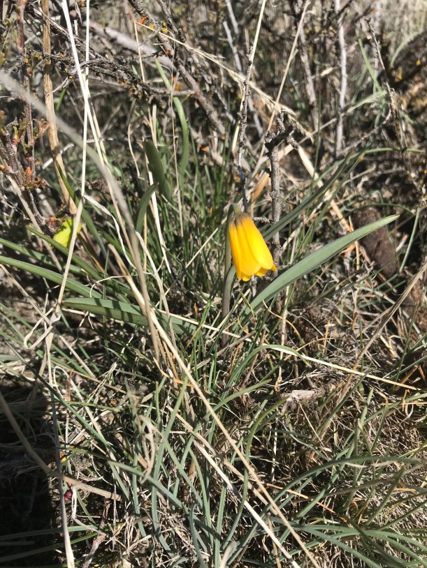 10724A20-74F7-439D-BC97-02731F073DE1