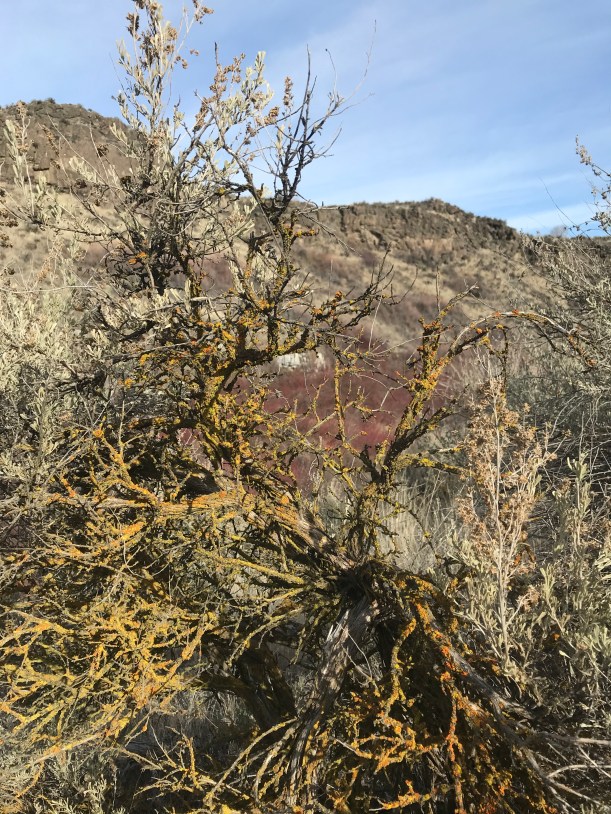 5B886423-57BA-4BCD-BBC9-DA93C0083CC4