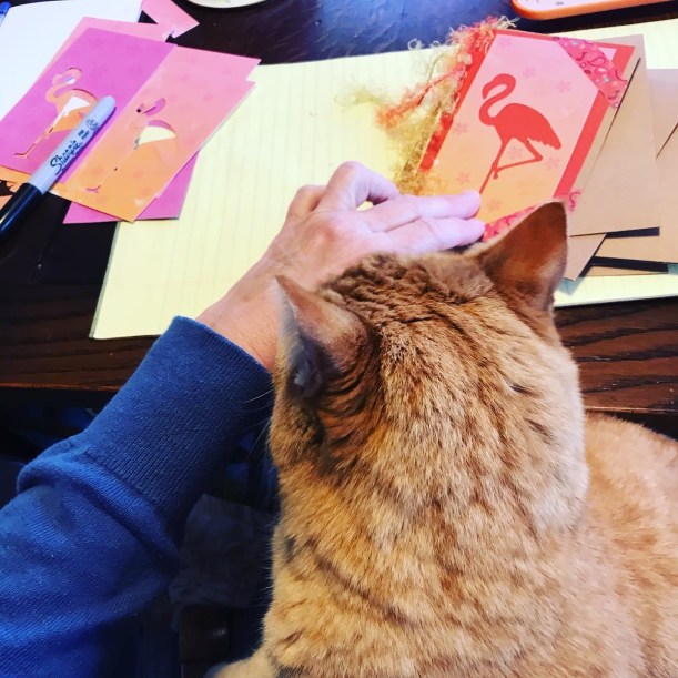 9A774B91-B6DC-4B24-8213-EAC0DD08F0DE