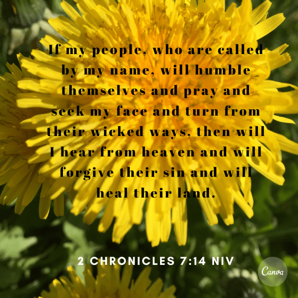 If my people, who are called by my name, will humble themselves and pray and seek my face and turn from their wicked ways, then will I hear from heaven and will forgive their sin and will heal their land.