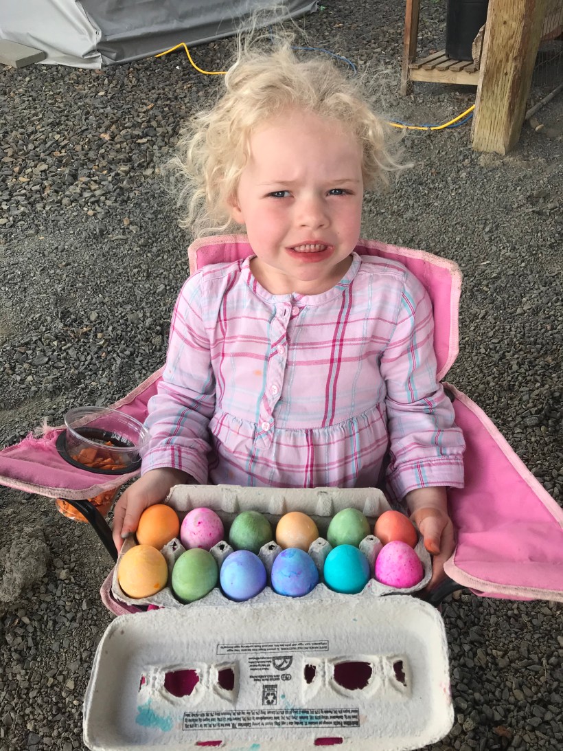 9B567392-8508-49A0-8B9E-C000FCC002DB