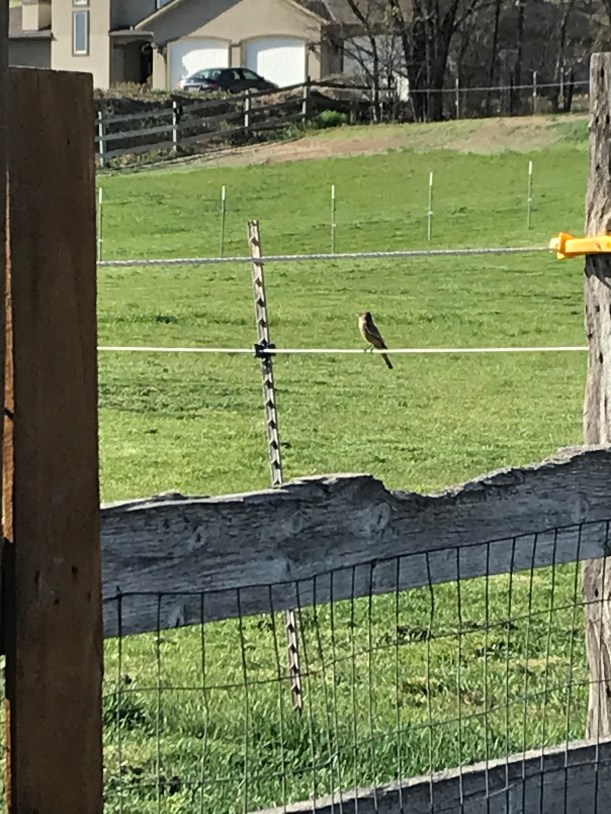 C510747F-5621-4089-821C-C44B7AFBC70E