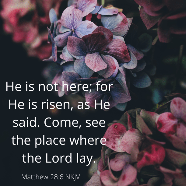 Watch out for the announcement of our spring sale!