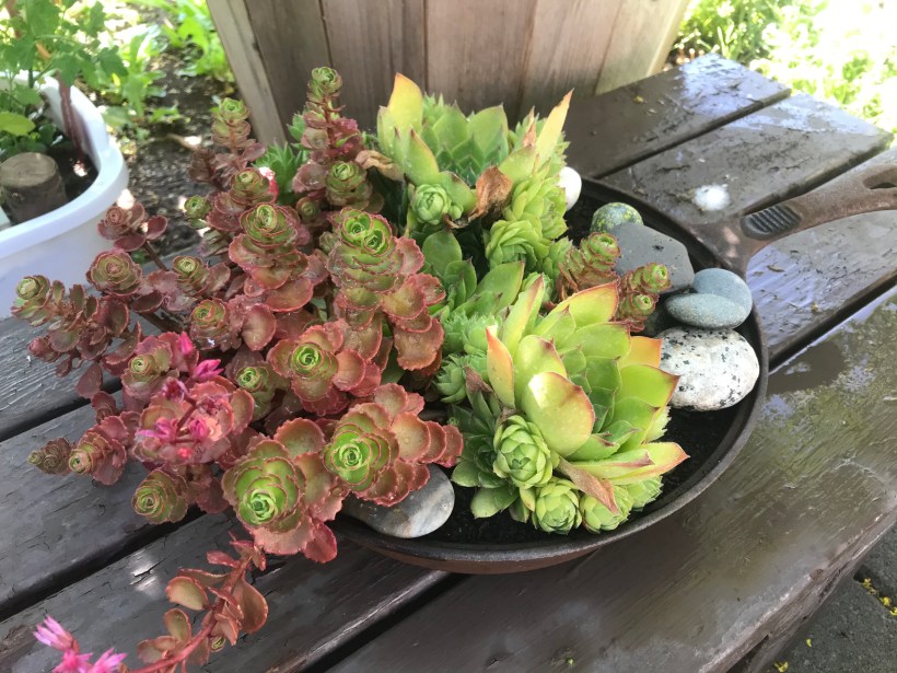 2BB7ABB5-66FB-4F46-8450-0E6D518378FA