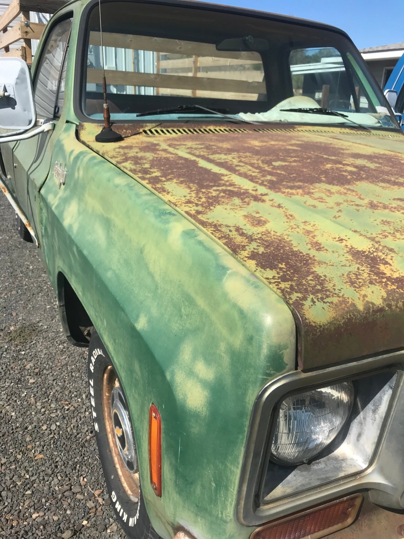 8F58E1F3-0725-46B6-BAAF-F0E5888FF816