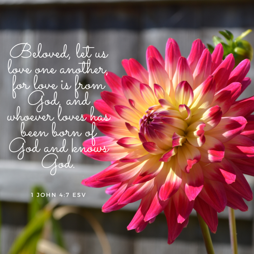 Beloved, let us love one another, for love is from God, and whoever loves has been born of God and knows God.