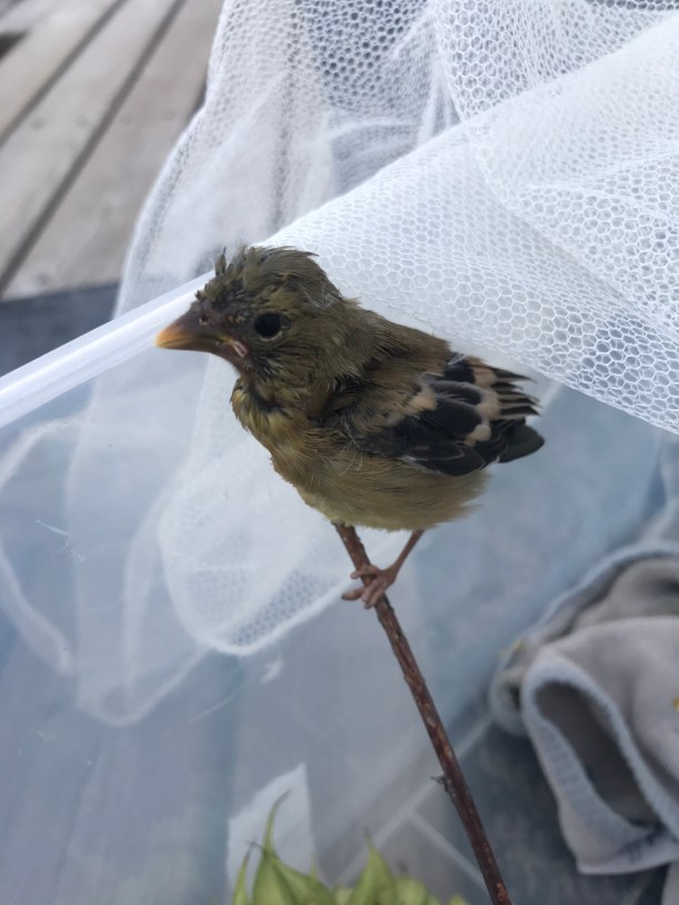 285F7E54-EA96-4E11-B5C8-4EB175E064AC