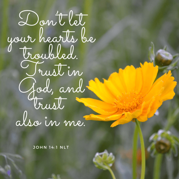 love and joyDon’t let your hearts be troubled. Trust in God, and trust also in me.