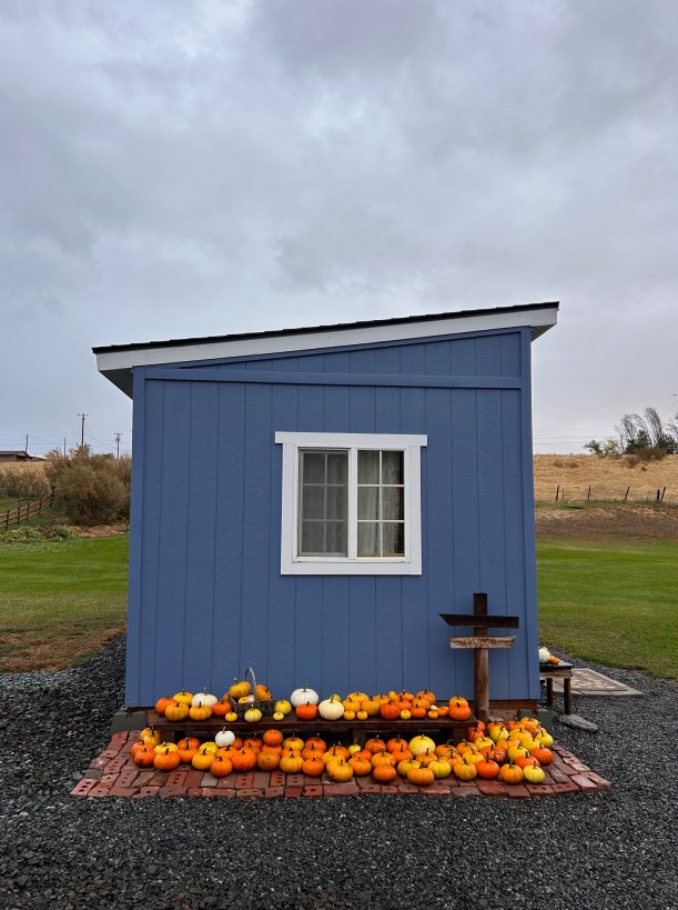 2025 Pumpkins on Display